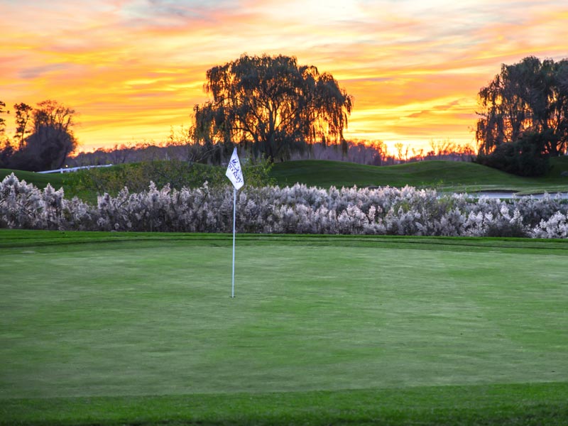 The Rookery Golf Club Public Course Milton / Milford DE Course