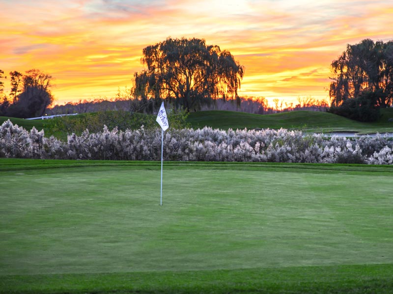 rehoboth beach country club pro shop